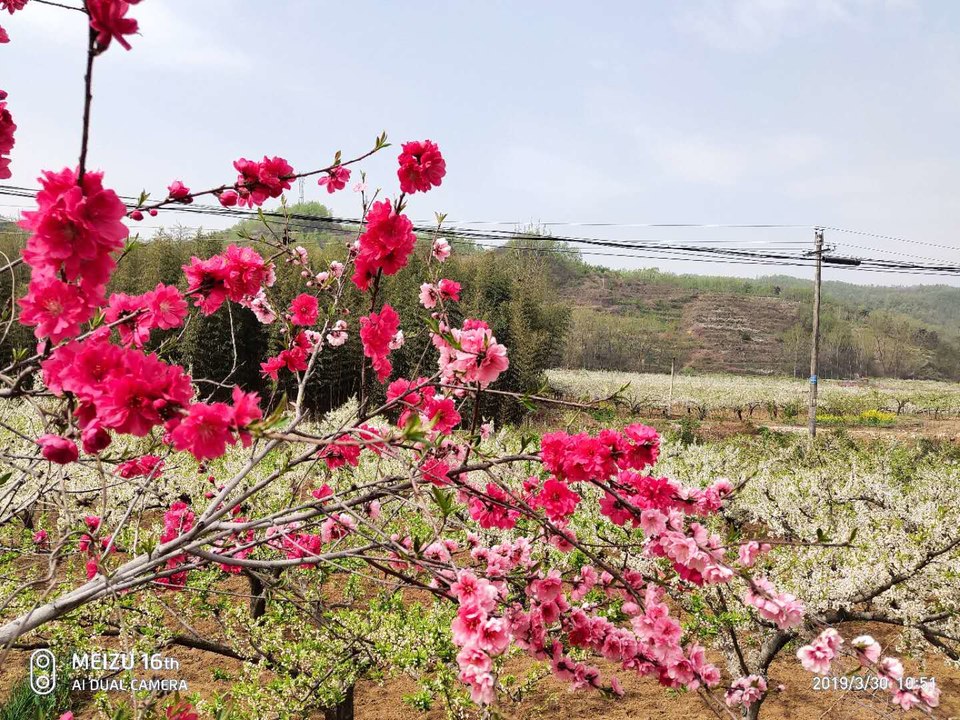 ox_JlT05VDA3MrauUEAmi5Zzmj__aJVydBI8xhhWGWTvao3ILt1D4iA0msN_UUd9