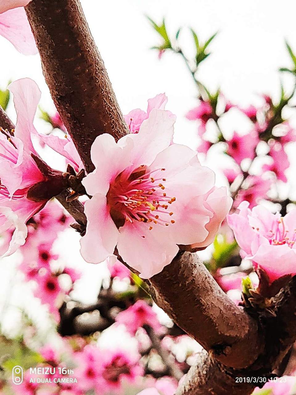 8gjeXA8ZWJkLG46k0uRAgtwPao-cJIoqZCQt60LkD86WQF0Md_arsITrLjczSuWt