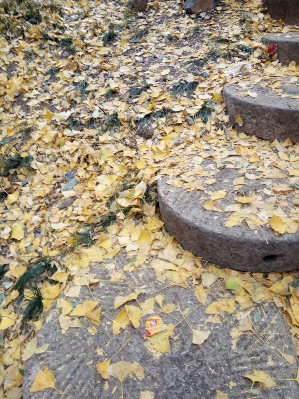 AH2LBu14TiZbhuqsMayXozqeSvFaclbItHZb4pgw3tN0yu2tzR9Z0KOdYlnXrHNq