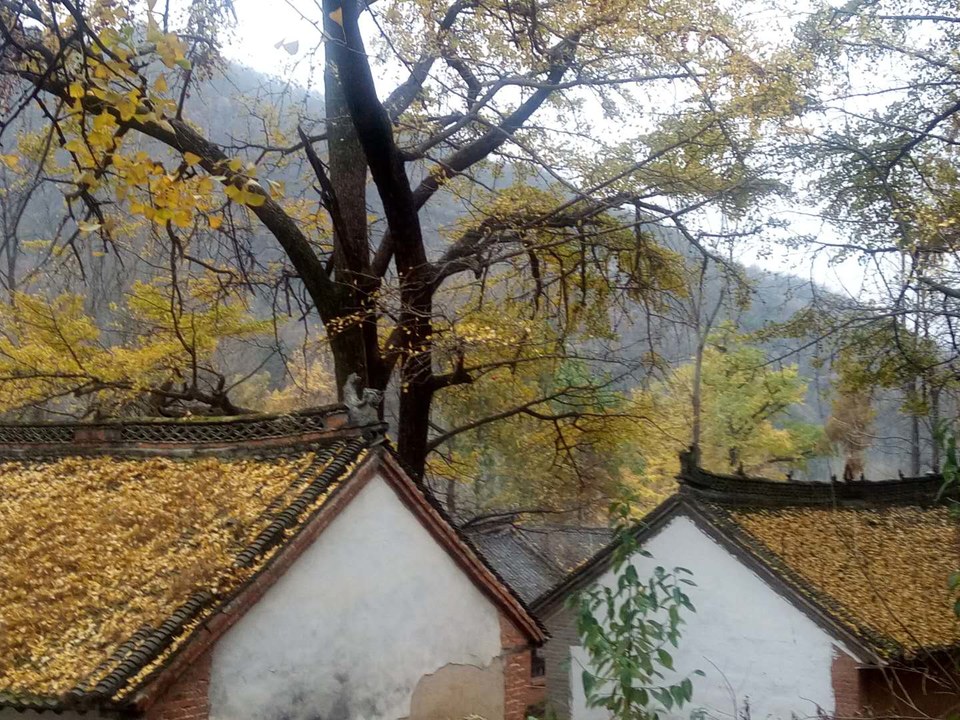 e9iDD3HPanppctCDsxjayA0lIiYcA4Pu3QBpJMqovY4jg2epsySkrZNir716kSYt