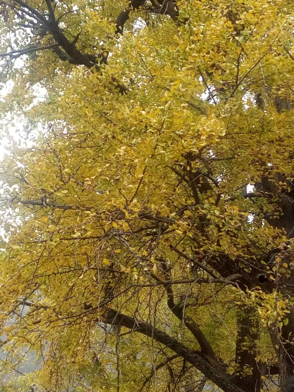 XxgbZyMkLjKpx-MZqPxRV5mSYOT2JnCVs6m551RSWlEJHN6e5qyt03poMI2jQxOL