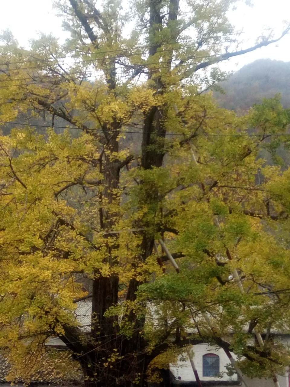 T15RJ2Vas2SCIgcixtOSZwJ0ZSO5TgM0_lm3CRDc4zEWOvZ-DzPAWbIJJjOhgZ1u