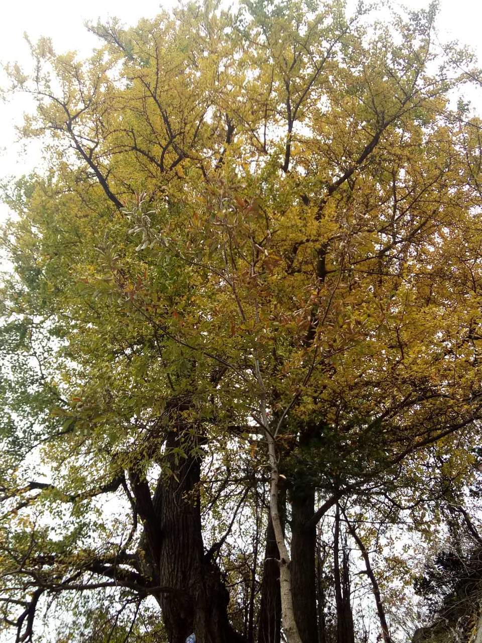 QDLURBixxQxTlHKM0AcWSQy__NZ9utLLVDiEBllnvK3GqtvvdU5OzslPMJtsPku7