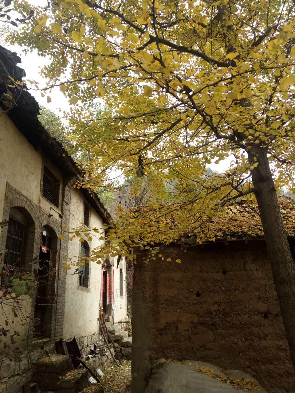 4u_tMnzgwmqvDMfNBpaeK77fUw1xC7q0sFPWe98QOWCW9EMrU-w_HRZEFnCJboc3