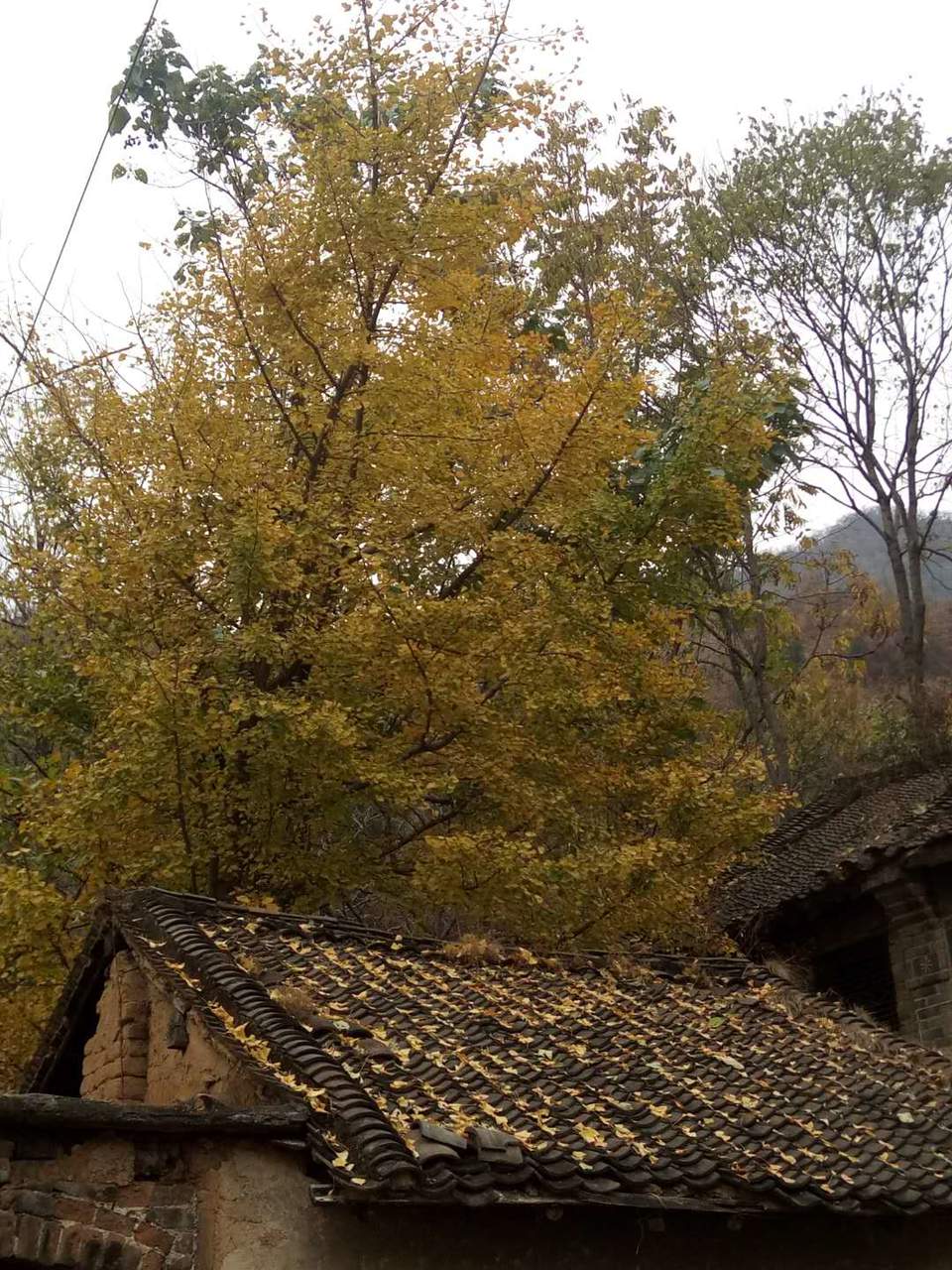 K2V4iSMXSw5muIn8wz5nMswRRPJlxLH2GYavIzYPIwBwUUs5WA_SPasO7rqvJ-cv