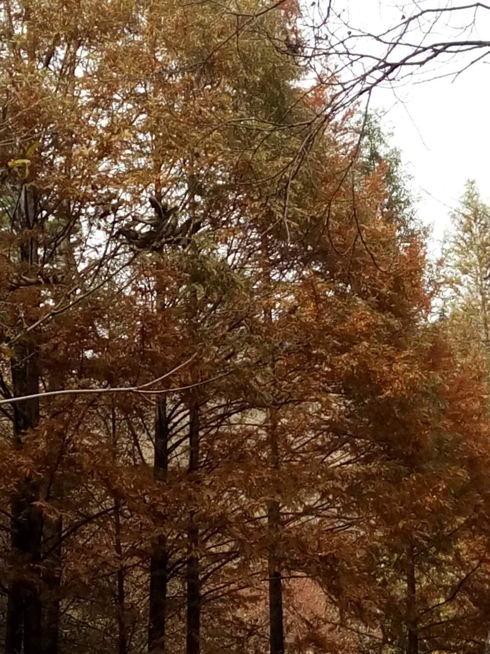 t28rVq7-GYRzxnEfvVRngbSTZo4PlDofqEAYy7SoJF1gVmnQ3zNzpnYQgovgt00u