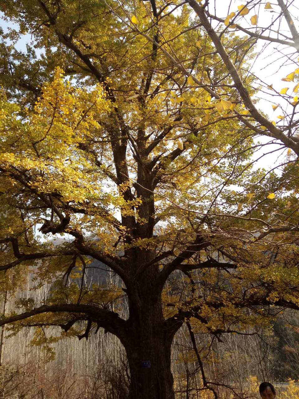 e6L_VdtTdmkfcOceO8KlpvobsqtM9MPfkaGmIE-GZOliGncZChp2Q1IYxXImJWNU