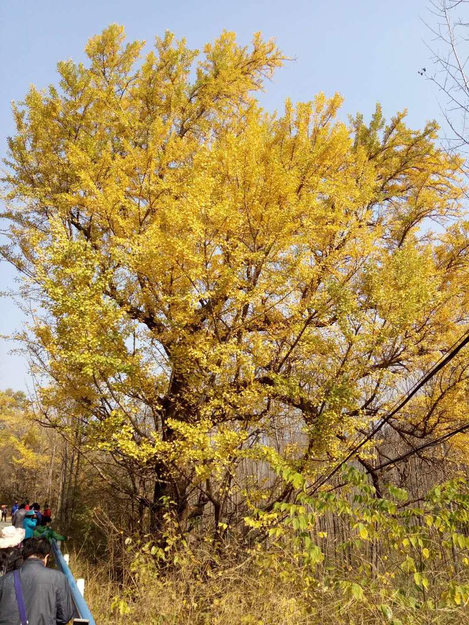 2JznI8KQbdvzKW4ceVyED63tNMFP54LLudj9vj3AjCT4JfLdMVsOz4vZneECNSv3