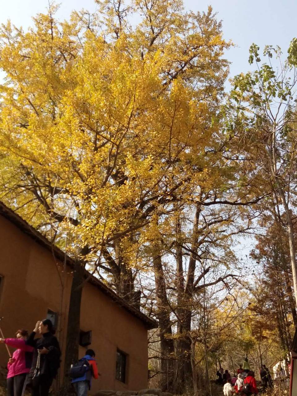 sWgoCYVfR0L8J5CR4iPpZv968ElVpymp6bH4sxLLf-C-jFpLKVvgDivwqYSylxrP