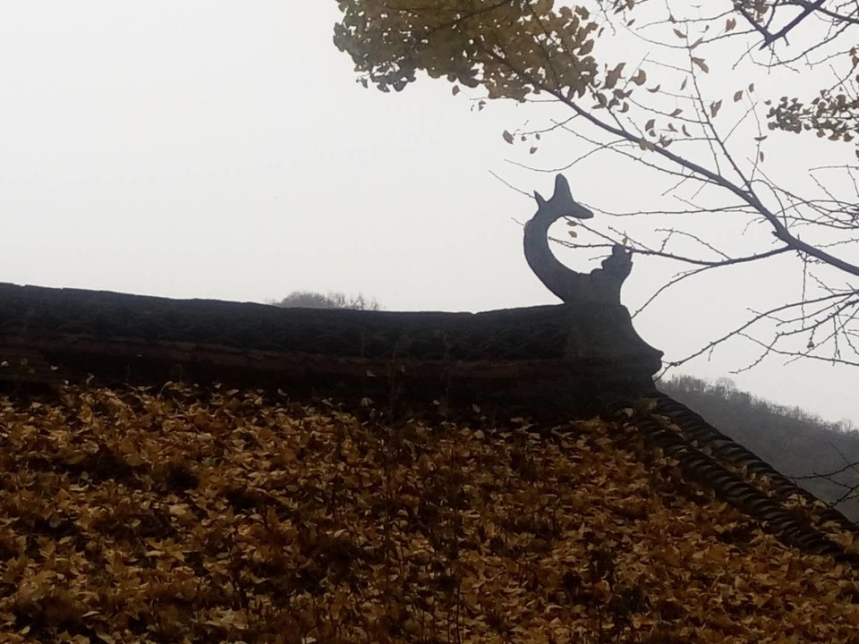 BbiYRFCtGimNEHUTBa9UN1mpeyIFTSw9RM31W55X2-KHzAS_kiTX4khqDGqmmt9z