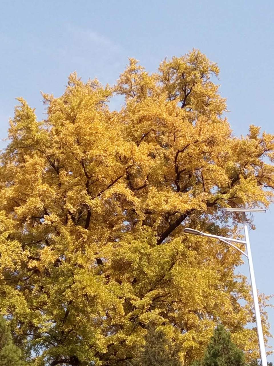 p7uyOqdD0tfFnqAR8GoATPMnS_hvo-ooZ_SylSkux3HpSVrN-2EqmO9Ikzcmpp6_