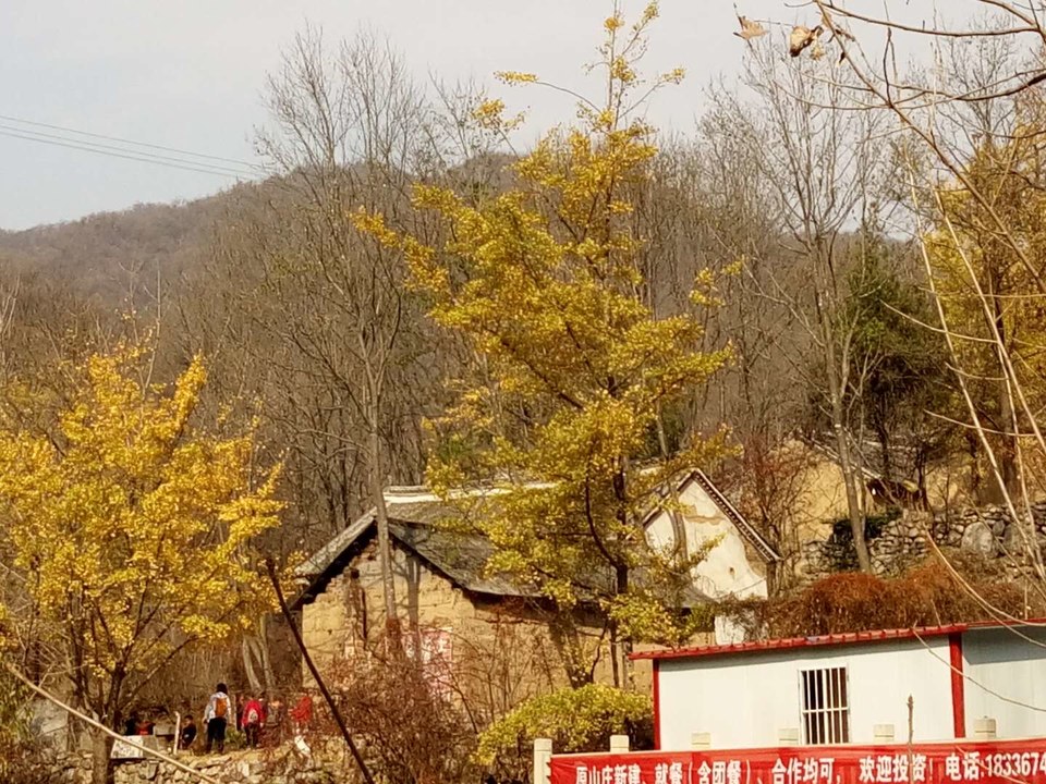 Fyq54SUGpmENwjeGH6Ccbc9c-zMnxPnSiv2mQQhAzcrkCnDlaQGTkL-yoGEzT9Uu