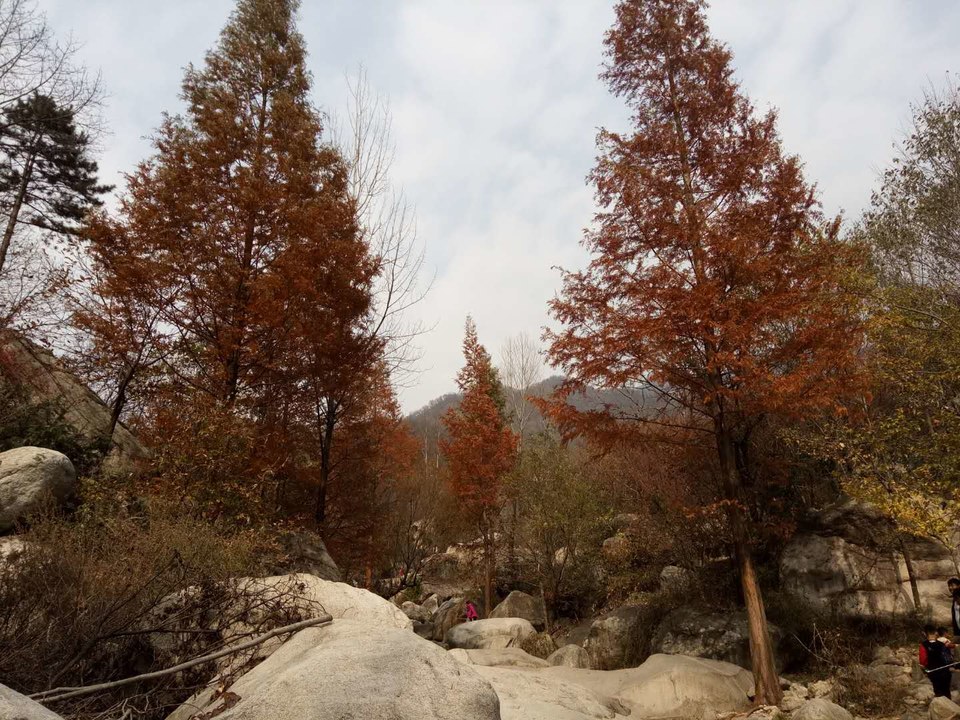 7ZUGpckU0ENTXVjaaT3zbrx56Sbwmn-s6A93HaiLjWdHbQN0WaF_UPft9B3DjqAp