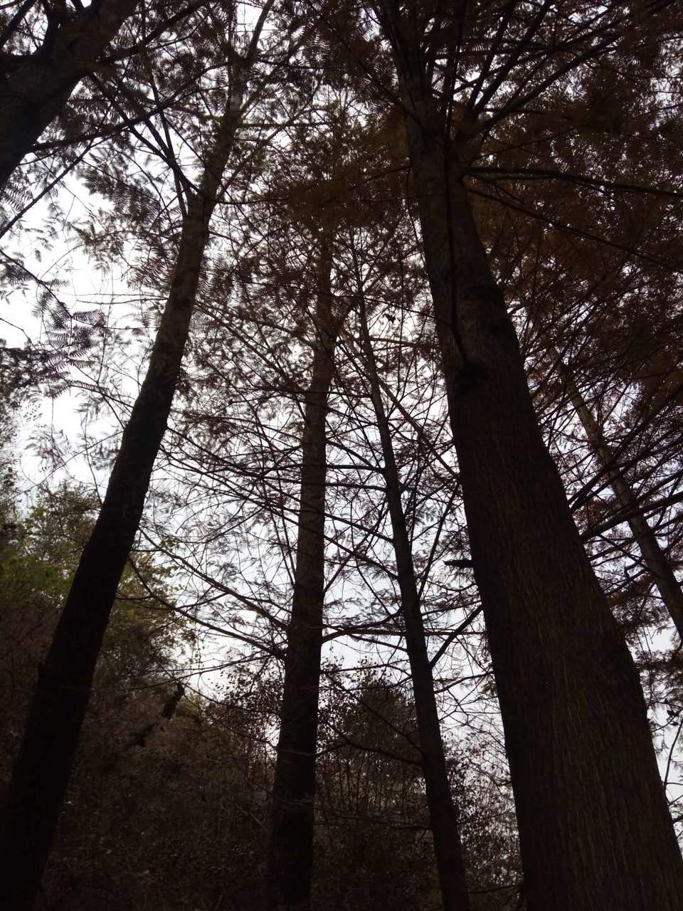 29jVYqvg-tQpiIbTAJIuSfvv664BZRLUmHBcXECXf_jfiim8-habRnP8KHovkGQy