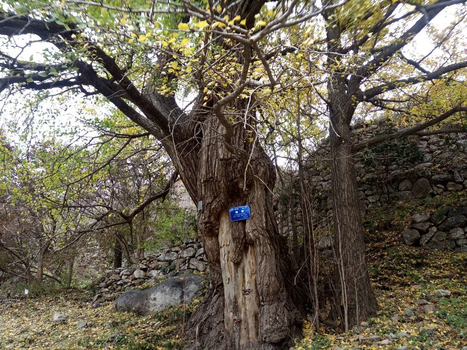 P5ypAZwRTv3cvq3MwOyOfXWMS0RC3ndIjRNrzpr8GS7dISy4XU2i_yxYrzPkS0Ij