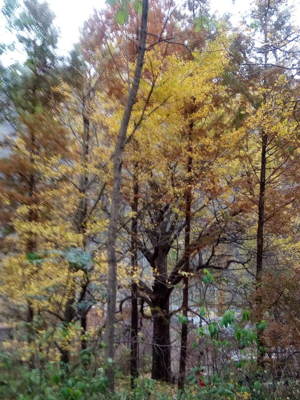 2kaIy-yedCoClsHOmMQAKT7cNWkoekO4cWjup6_4XwElsjz97wMgUQQgDF3llHcL