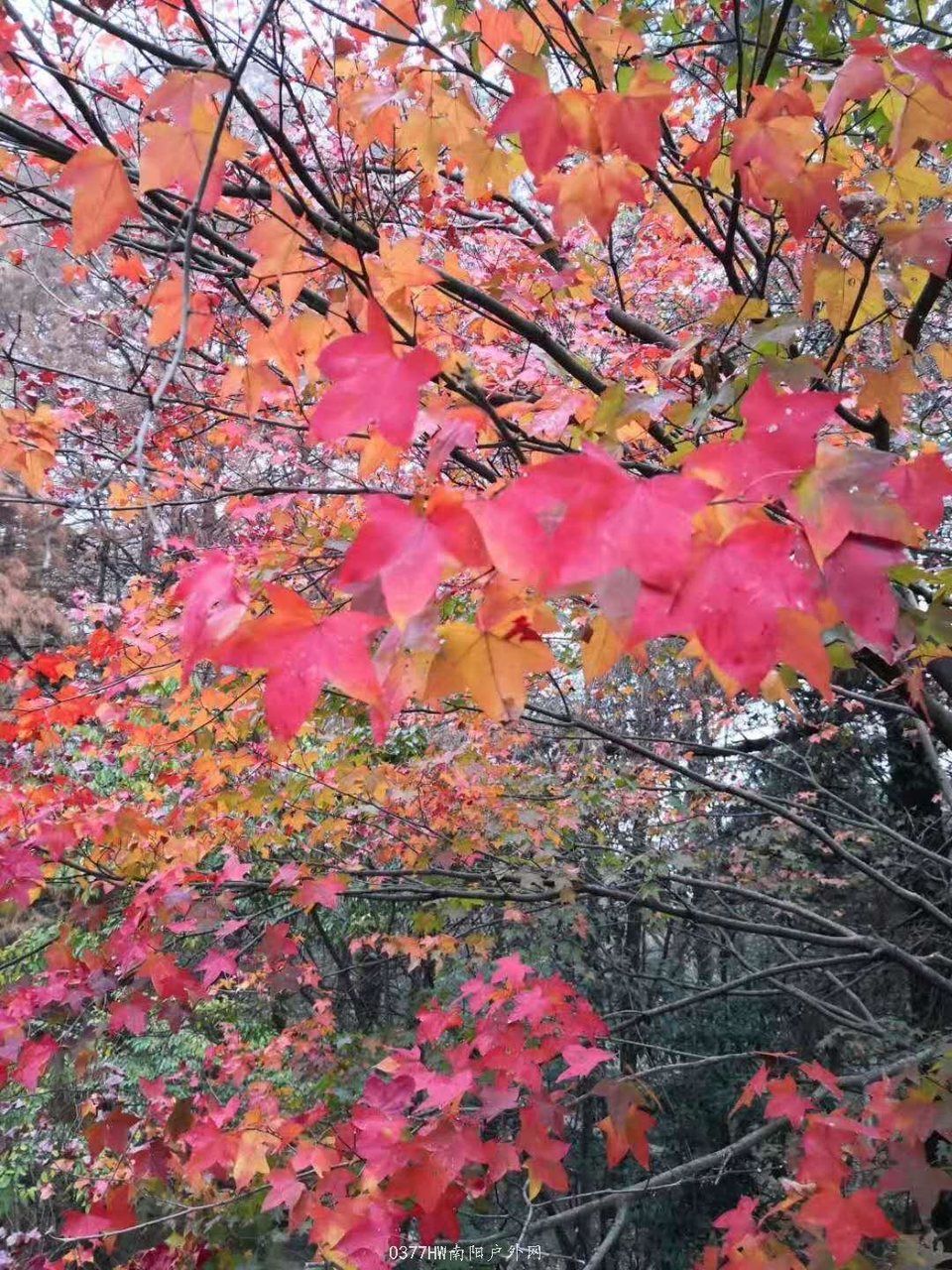 Y5PDYw1fbZPPmUFBYpkNHRiC6r69a0O4oPKxSXaCk5arMrwyEiy1zNdQXzX5zfgU