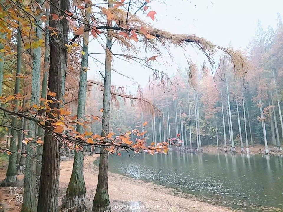 1hGVbnjfd1ryiS5BurHIjfnDAomq-CUOKW4uK95o1itNc4yAYTDG9BJkkrX_iocF