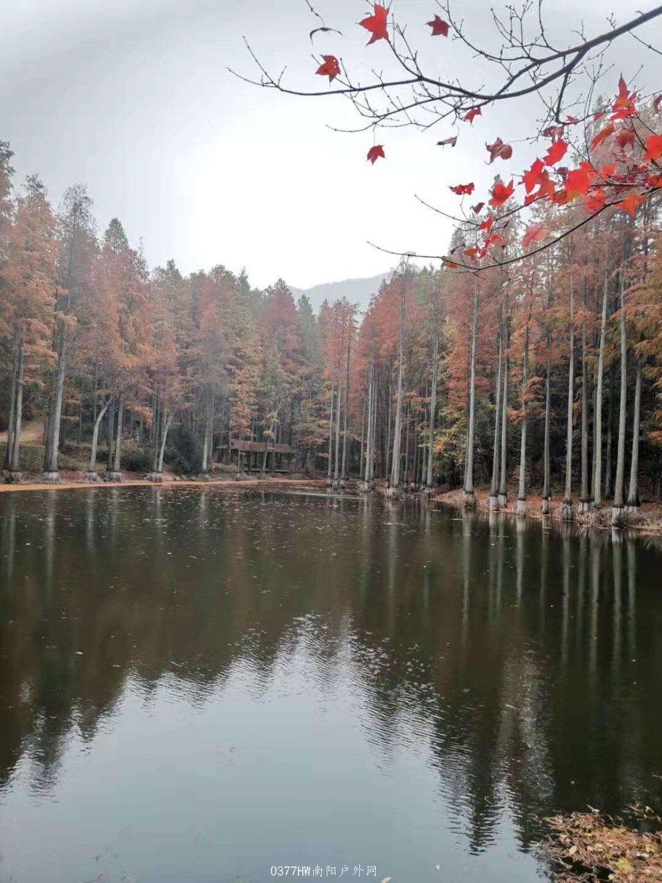 j8eVD9-Y4txUtUjF-aV-K8rJJboPDw00fzhkBngopwKCZ04rLe199lObQFVjrA7u