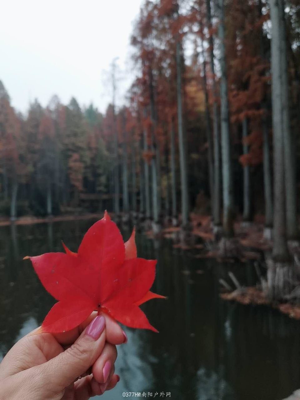 8oemLVkeQssR5P5ZWPJFg6LuEjLbcrMwOVcgt8eUB-7YuA4aa9nhVrZ_YWO24wew