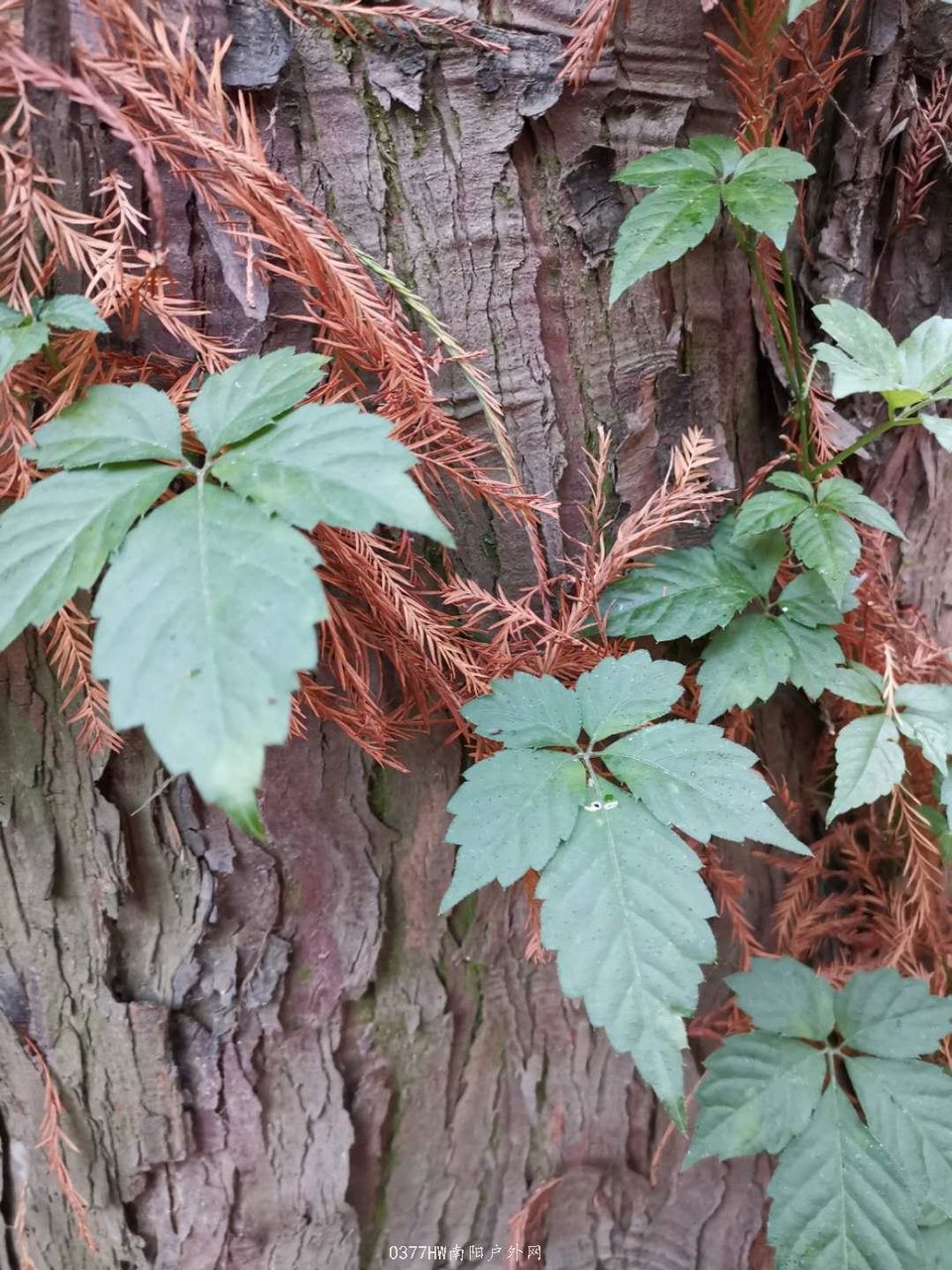 ve6y9mGh7W3nmMg_tHoqVZnL8O75XPJlaBok773LD2GGPQr6td5d185lomVjhe0L