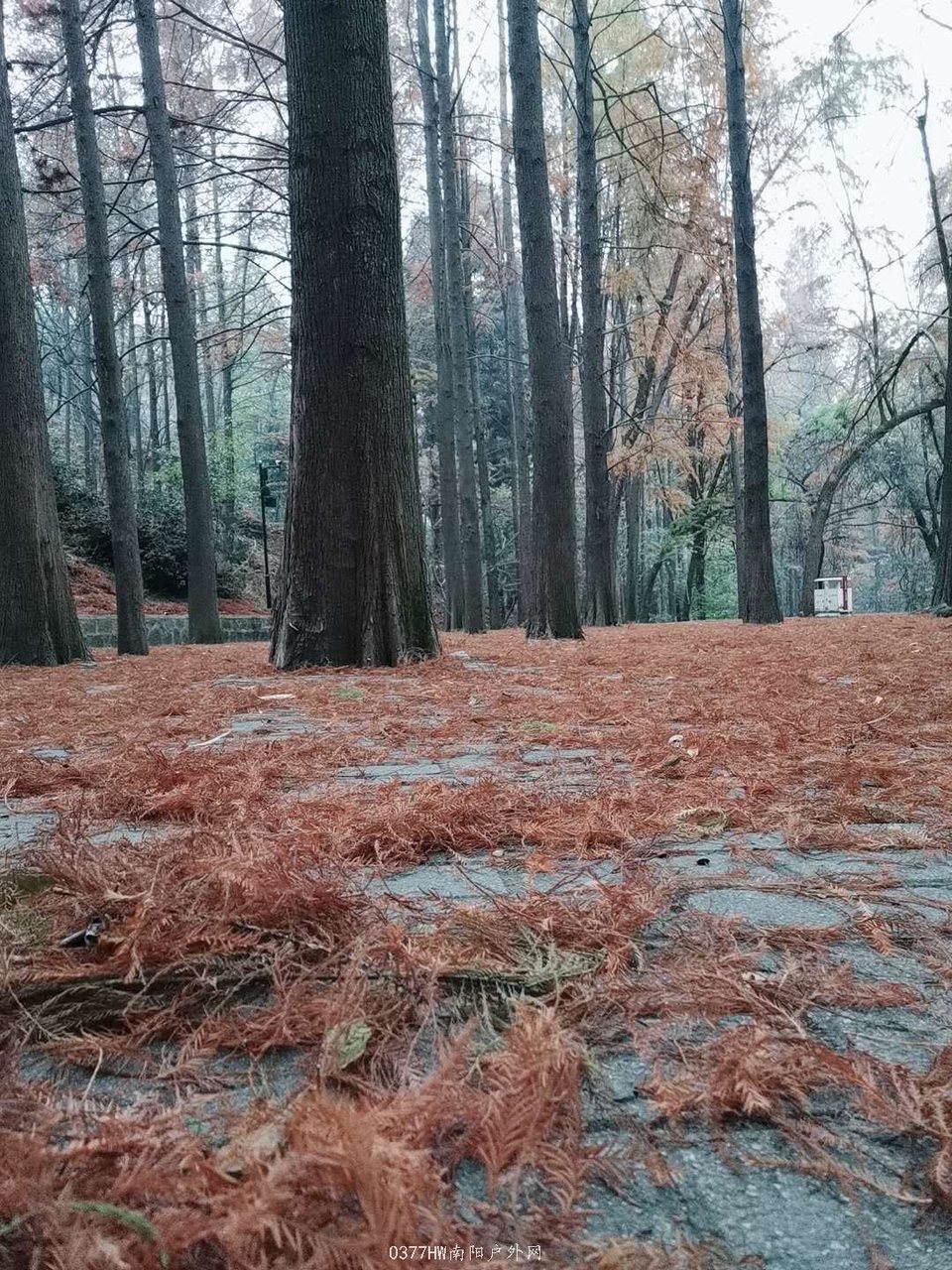 3UAMwOGTmXts_VEYOEszZjko6crKFCmodN_n0uxitQzIZMufYuiBRBXH6ZnBSsCw