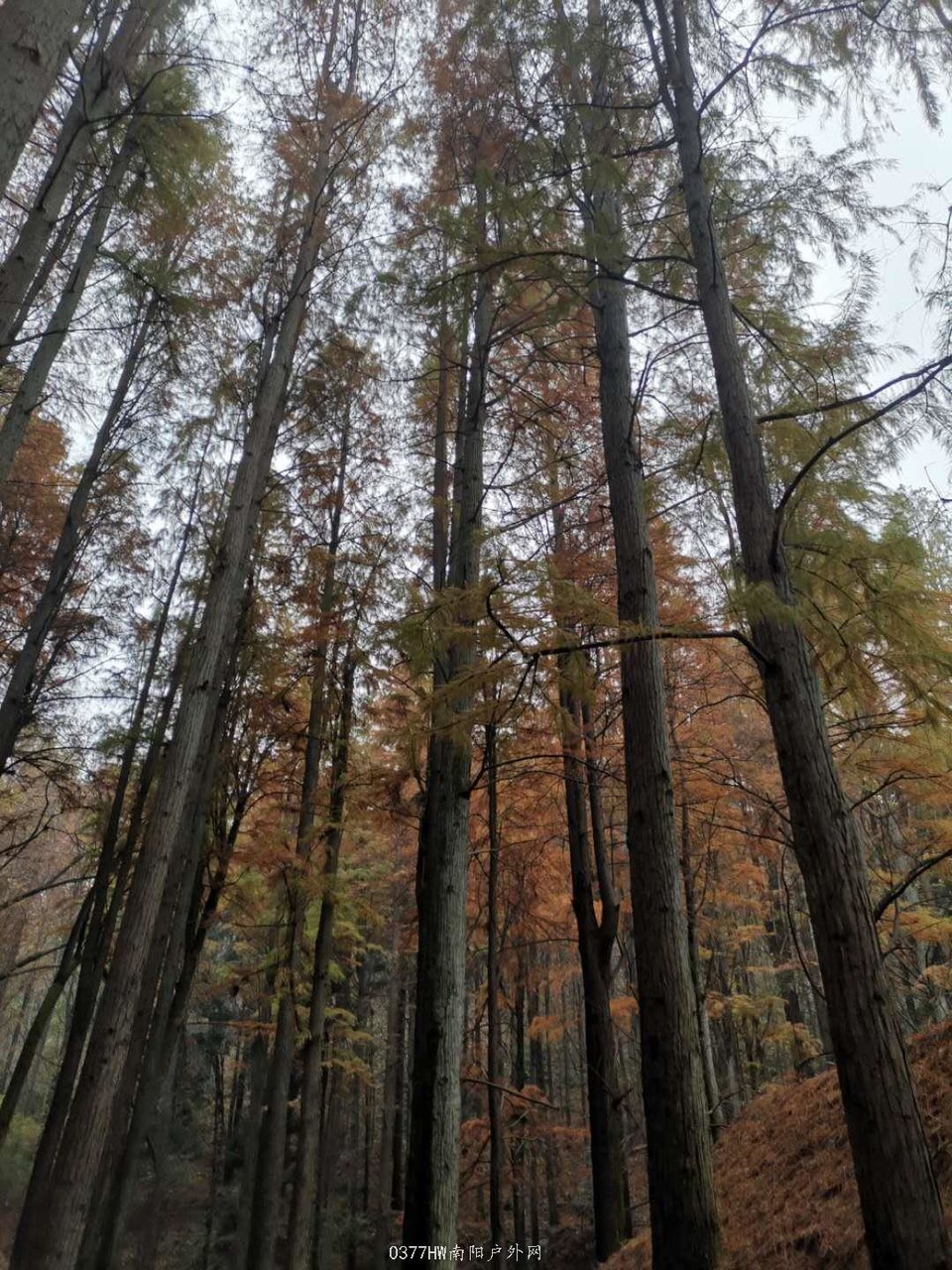 p7uyOqdD0tfFnqAR8GoATCiNrfGhNDnEDAXN7_ZfgSHvxKhI0vE96dYIQEHddgJb