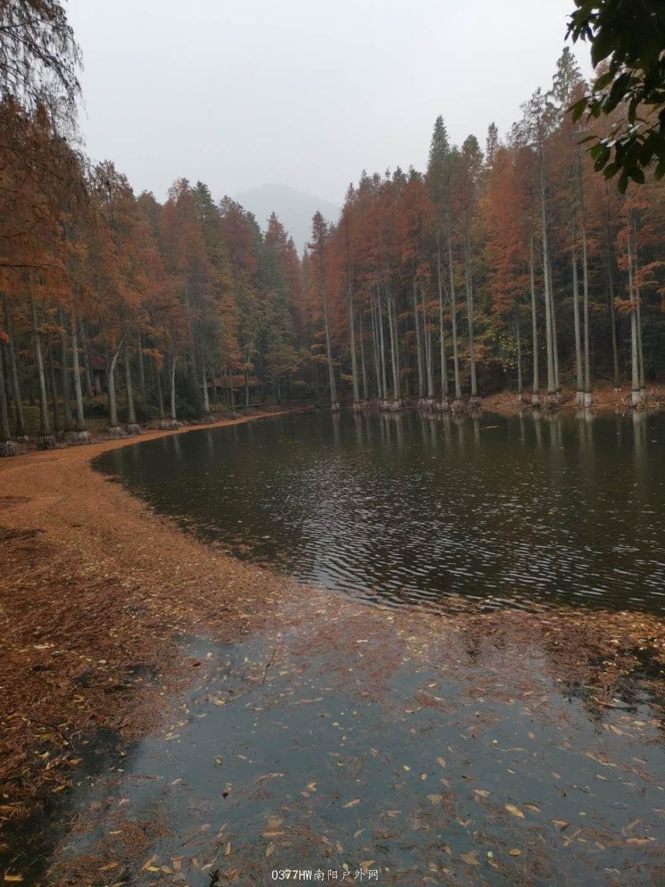 Vr2wsFE_is88QoEmfYKEjJClZHMPBc83zitH_EMeD4wSAK3pCYS8geS7n9rWlrbA