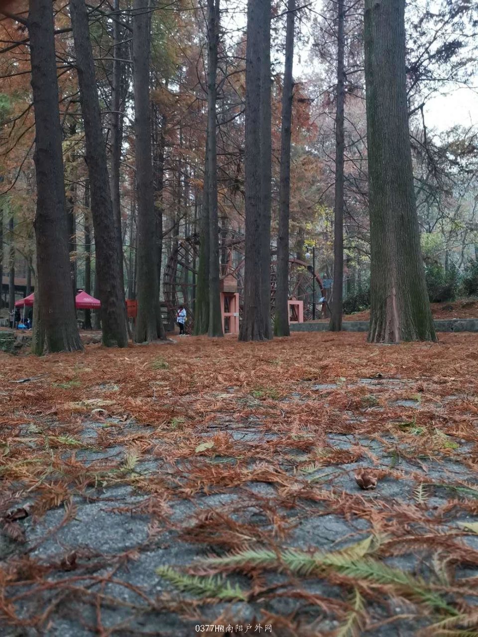 UNLxg-e-_rsSRdlrWCQXDjeWLEBxuCjqrUz-lxAIgTVPos3b-8lZ2QNZH21wnidX