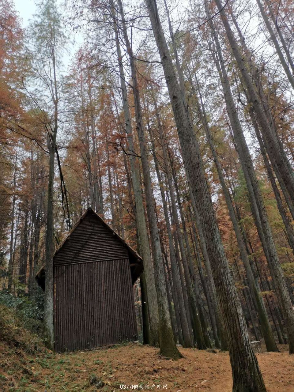 ppbimNTouSyix61h5f6jR_aku589S51ebfiKNyHX2tEtWAJrPfku7aTjbyWBrX0Y