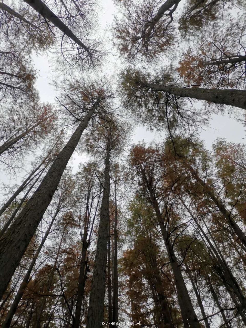 1LYMYaSlgN-pQJVKBYuf7ACXltNleh-XS8o_vsZH8qVUAo2z9hd9Q20FsEiLDato