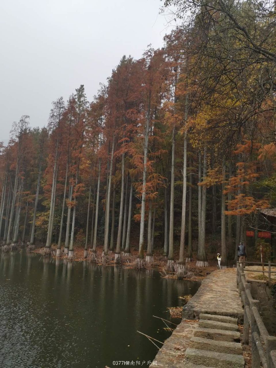 NAvwqUK_o2qcqLmcbsMN8Vf1PfiE9POhCMr6i3j383ZdtLGyI8j3eWyv6skwSOvu