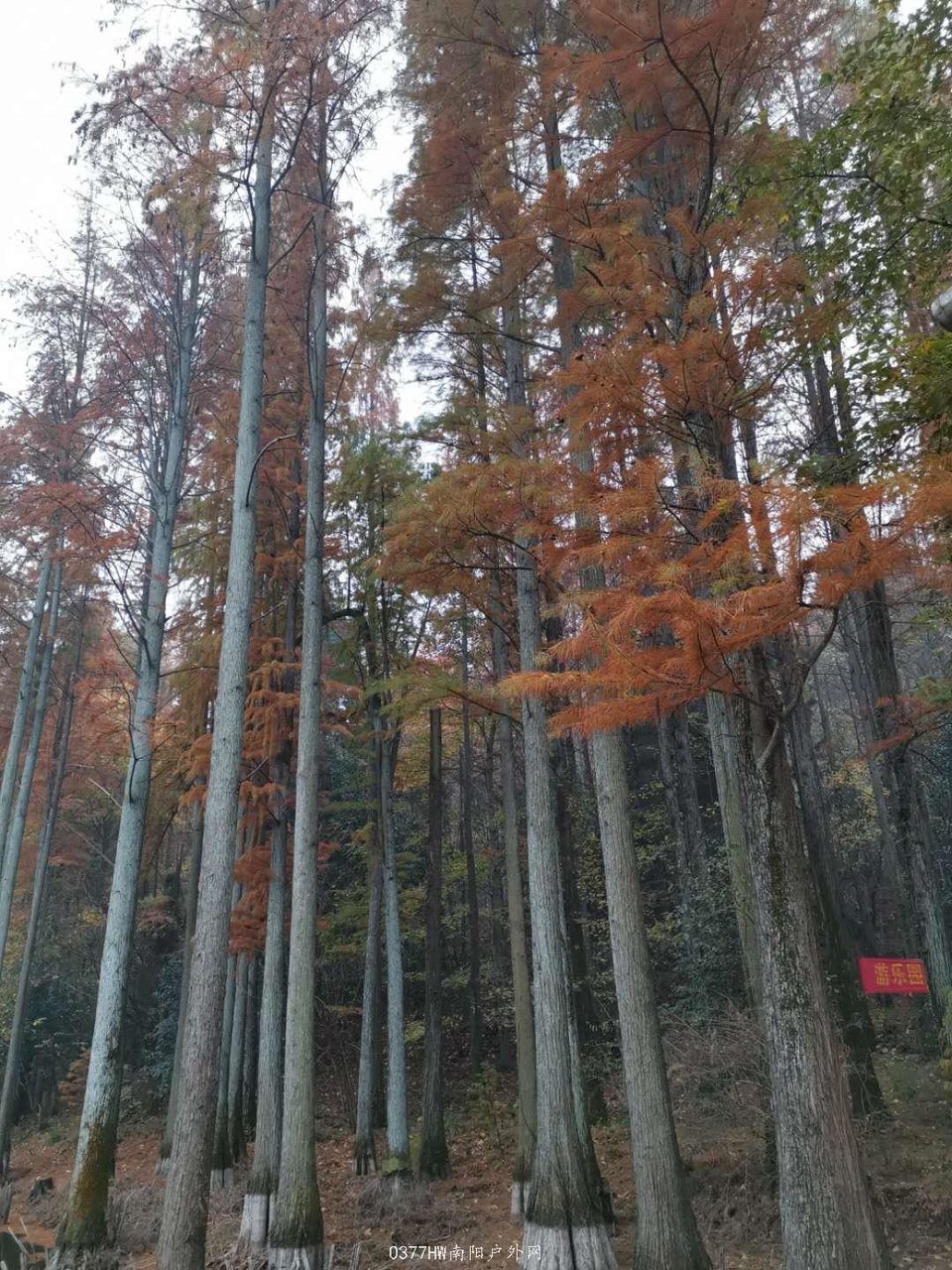 3LQwgwNh4YQSkT1kPNAbs2gGz0vUHcO4UeeC0nUQW9w5lOjhcrLHON4VIPvHDXKT