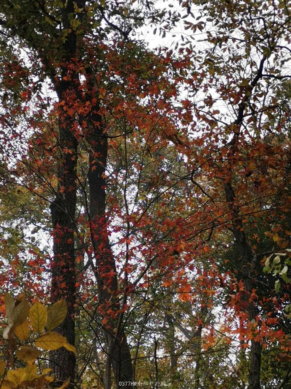 GPiU68Fwd2BtMbiA9UApuHyKA1pBgmNlJ11C0BED4WZeHnyI5kWRsfGVB6tCVvOe