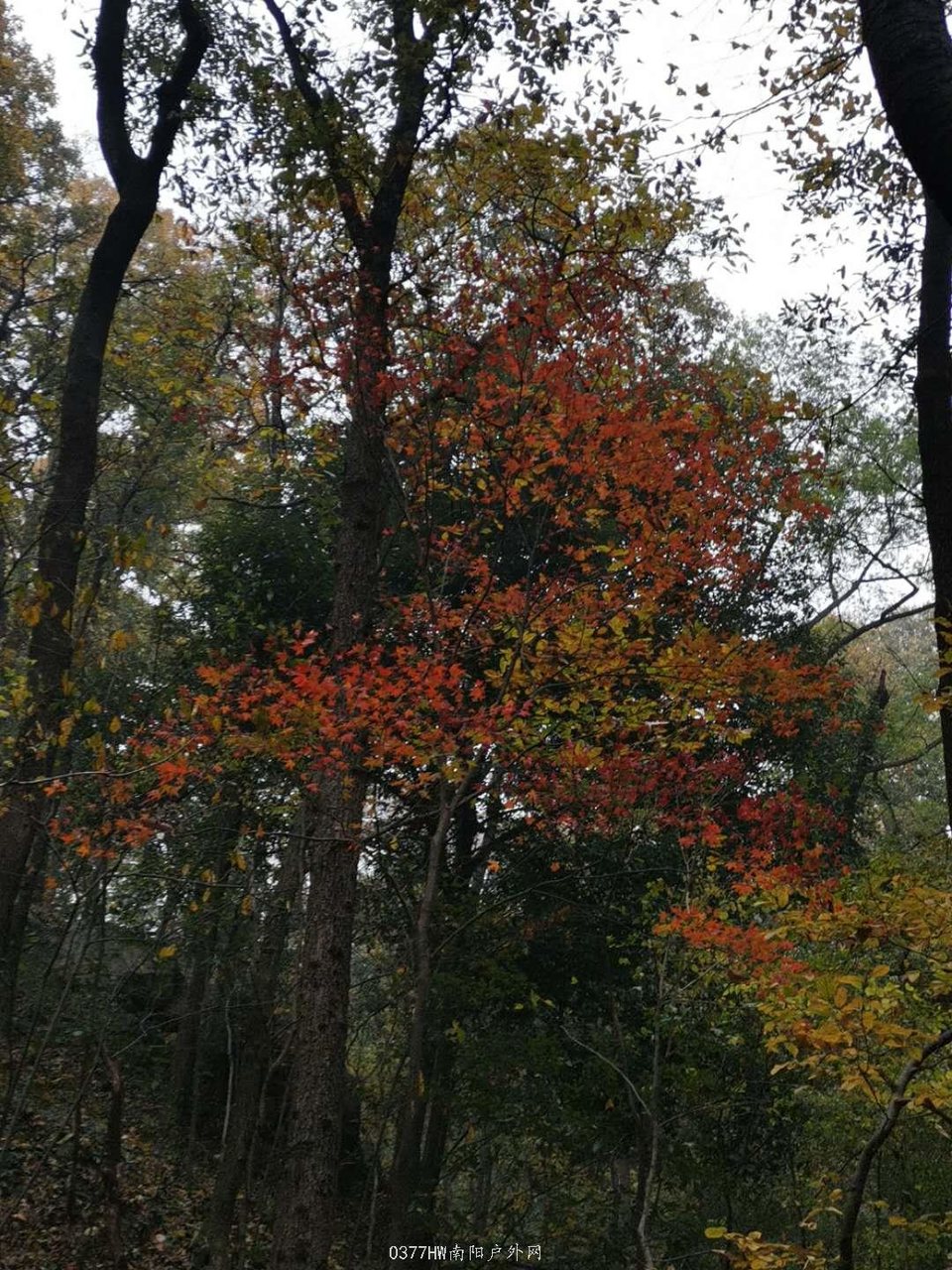 eb_8BdjGL2mSo3c-CN2E4i1Zt4GBHm_SgKslxYHmXhcOXatCiJFNT6R8tRv-85Fb