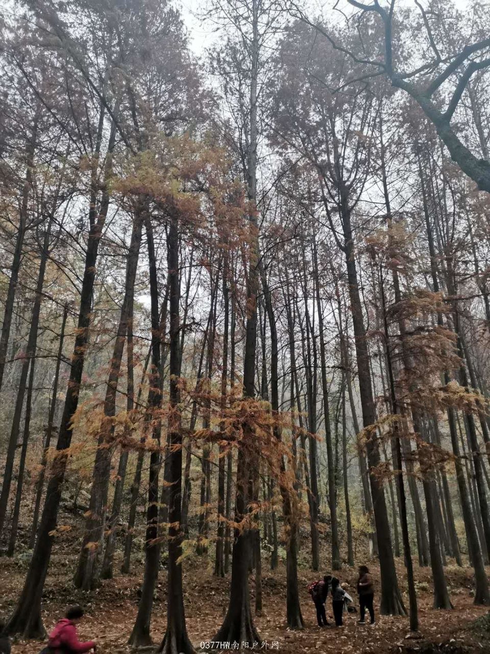 toh--mz_yjjEZufHwIxyxvn8MhPQKsjqoS0gODXmWTu1focfwKTeMQ1qgvIjmbYH