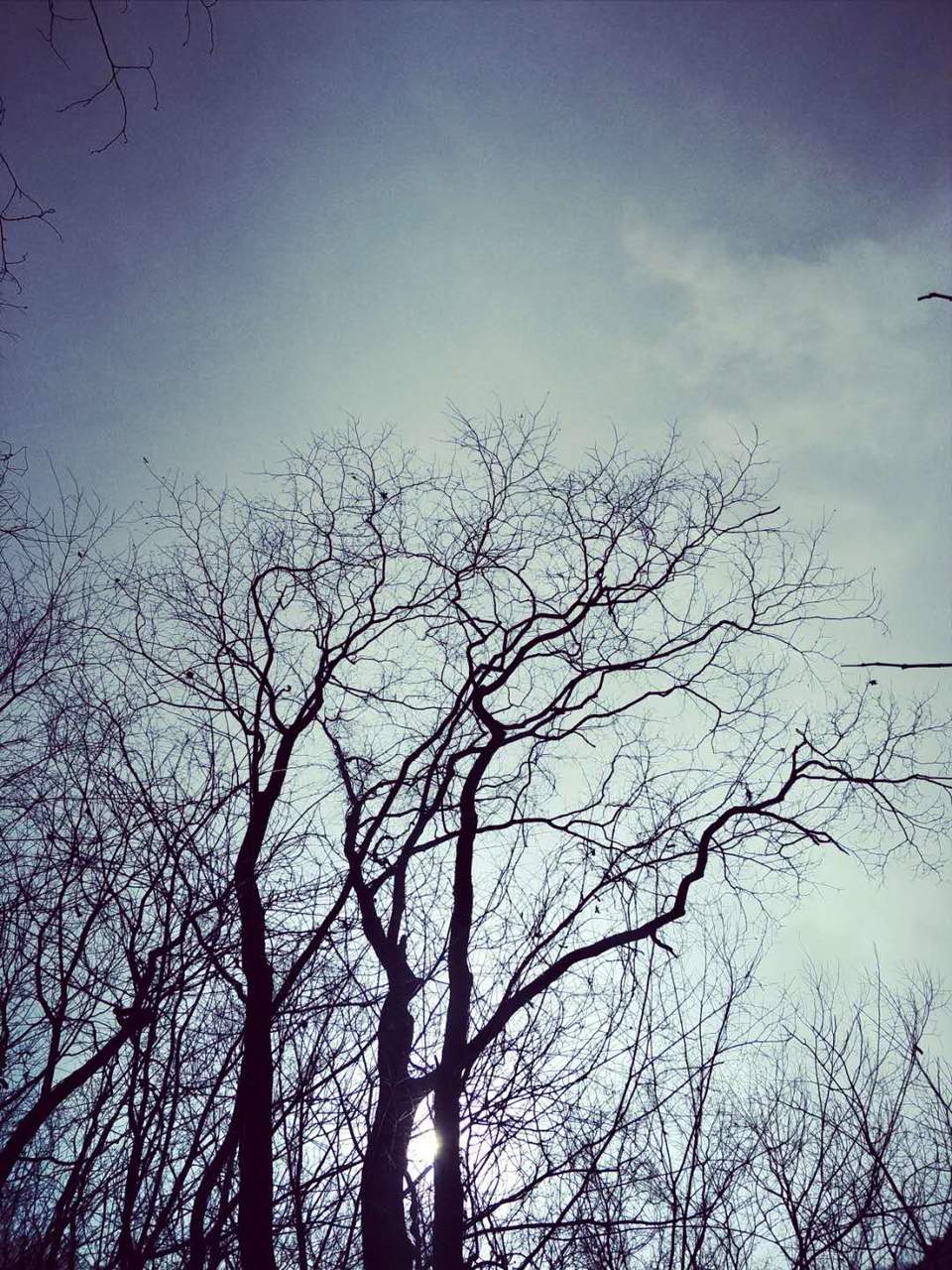 otPa2wii1nUjnVsX3s40GBMeji8Q5SkdGEcYY7q_NcjOT8pGyKHpEBhvsly3hnN3