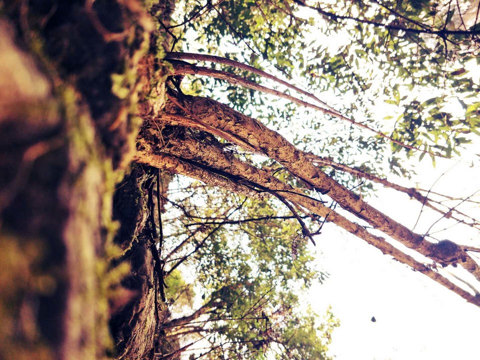 ocro36xdzgbkVpDRyoYBsYT5OAmYgu9-UwzJTLK1m6jmApHiDtwrofV6RZjjzyye