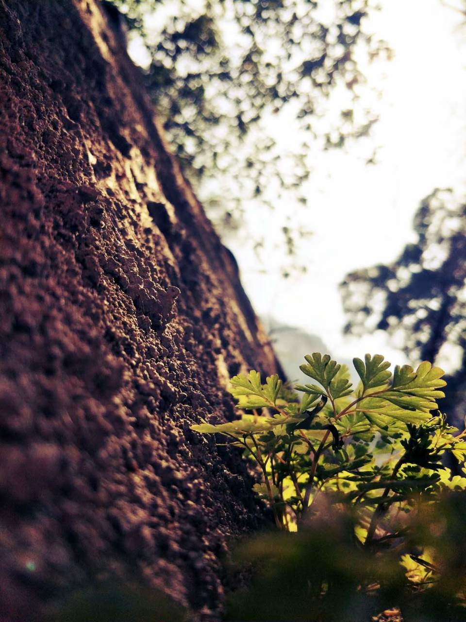 vHoa7etMi60vR-DGjcrSZZgFbnUtQs_DzUUJr5o0dKALCOiCpI8xEqB6iJ6SMrPb