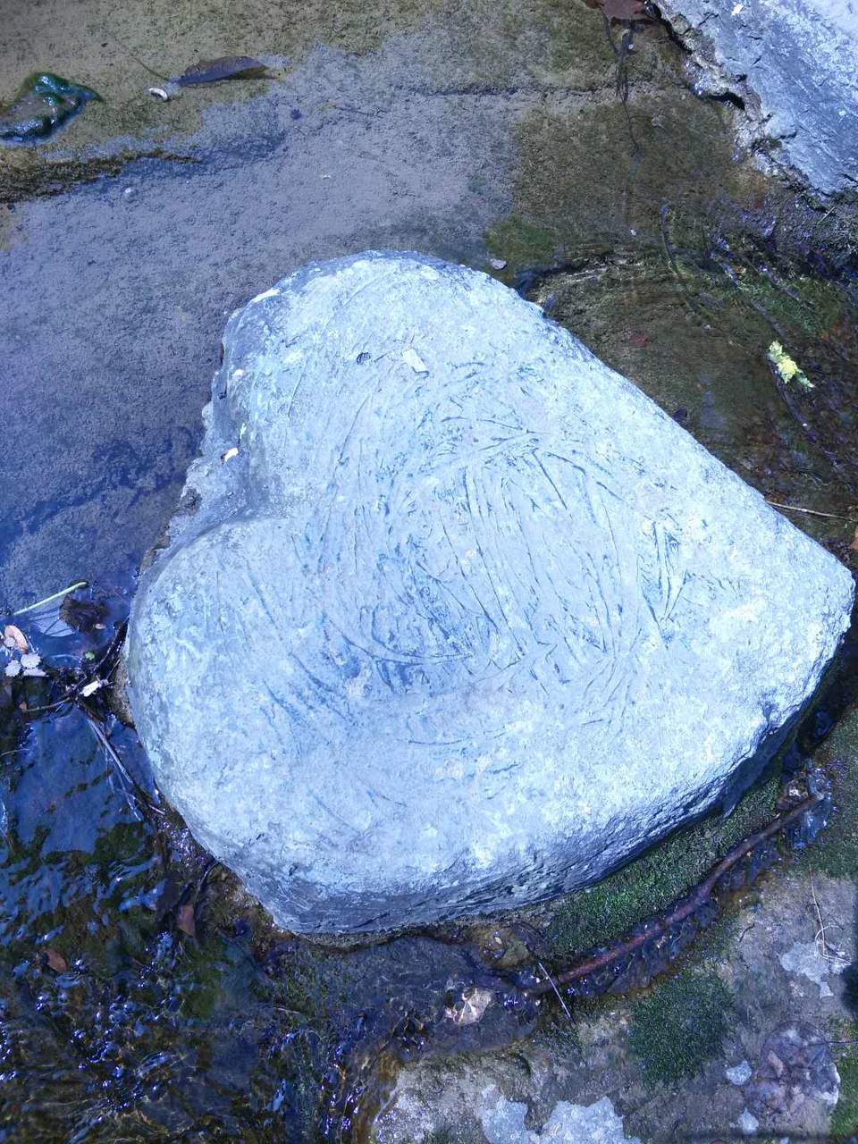 bRCzYPd5ipbLYJ--kYlVO0jaUqu-wIXGuj4FRXPTI05Coe-Z6oqlZD0ouJWHOBx1