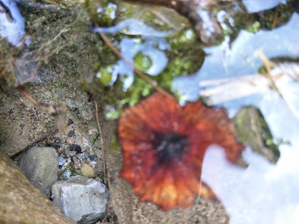 XT70vIX8R-W1eeVsDFTgz5490YW2ruV5oJczOgVREVqDbvCyC8v2Yn58bnHFeFmP