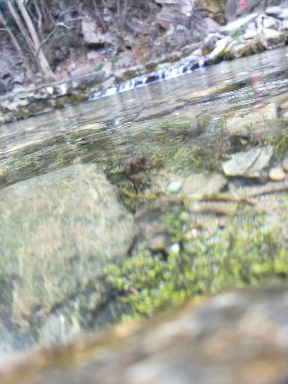 Nc1_Gtr2aOvmnGHfhtvTSPwEhYvbU-g2JeBqG9t8_QF8_V7Qq7hYWmqi5zVXqLJ9