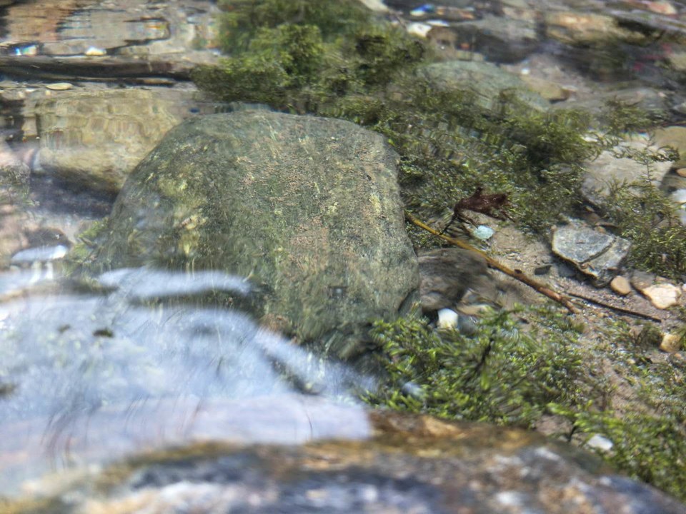 CebVGs6ttMg3cCyb0Q2Ve7x4tCRPtuupybptzuMrkOwrvWMIeLfetJbQf6plRIiQ