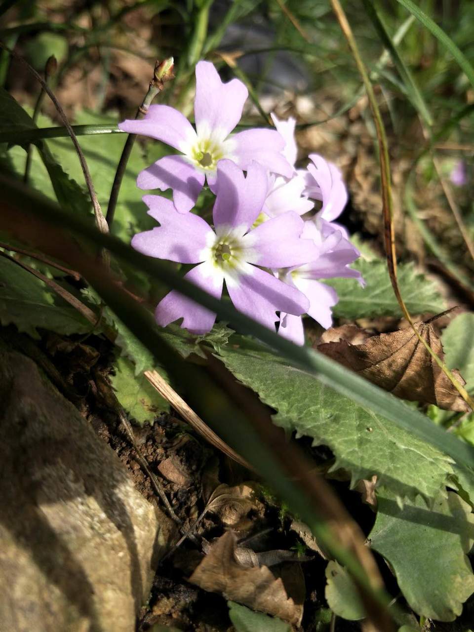 DQb6IUj2cQ51BtizXEAPREUsB_sJGUA7wlsF_oBpiLwtpONnLQ2jCJuCcHjz1vFq