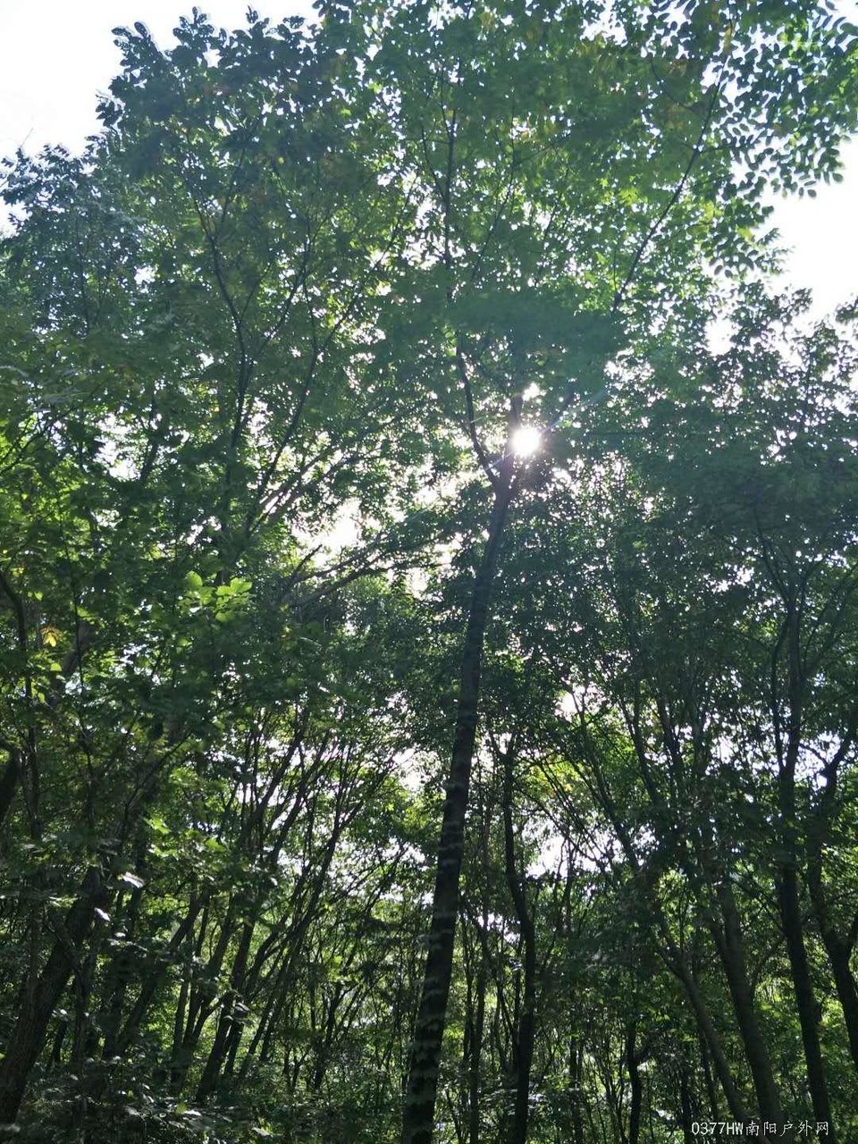 NjT2REVSi87_4vtKU3iFGUq0CiD9esnEOY68y1fszpOvW-cqe9Xbd78dfEWKp1FJ