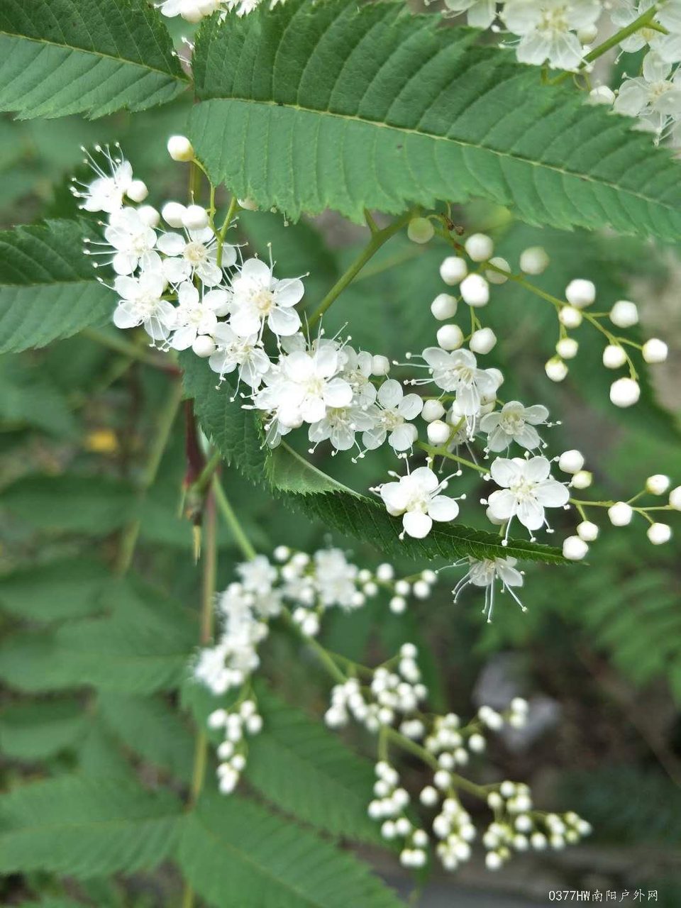 34qS6ZqVQtrQWNF0-jb0L1c7HbLQWu17BrKYFMI-alN2DpYf2Weox9ckB63C86S5