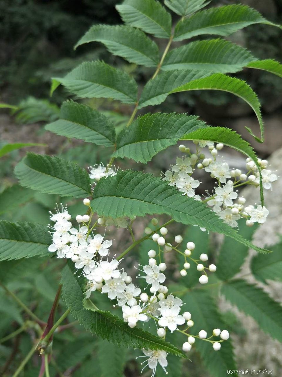 SdZDpaTIjAQtyfM4w4ENCPykXkwSe05fF1WDF5tI3PRCGtBmGVQoljQxEiKPfl-H