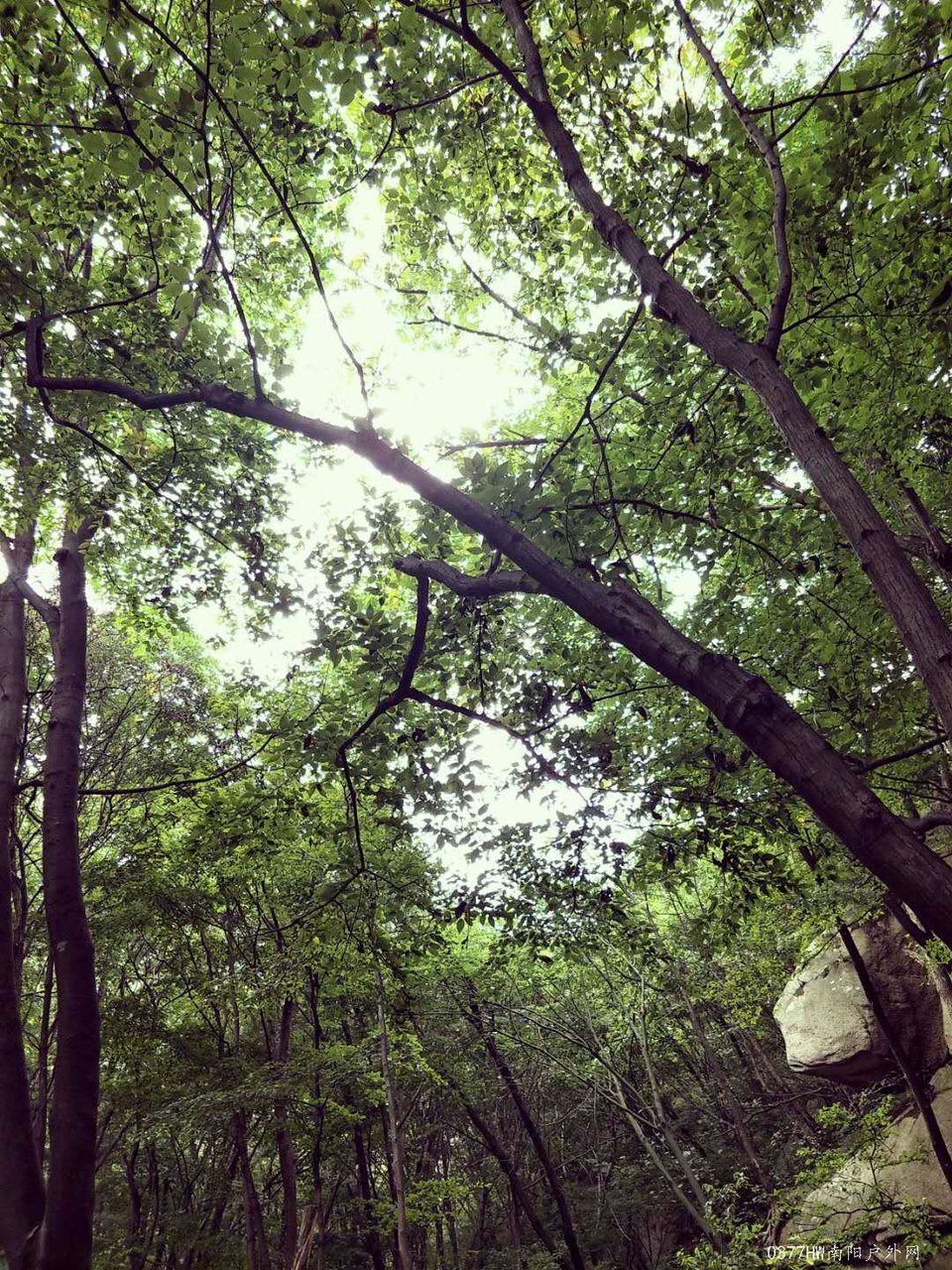 gHMOXq8pG6TuxWiMvdec-MMJC6nOdcZDnqggCRWSAoqphg55KGg-yODhFInFSsyo