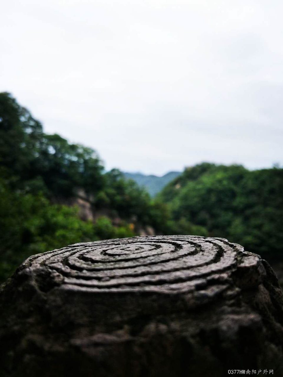 sF-TOeKmp0-GpqXxnGyoOLgUC_oAFAdQJm5I77aGWBXbe8MKmwQoR4xvha2zWCBA