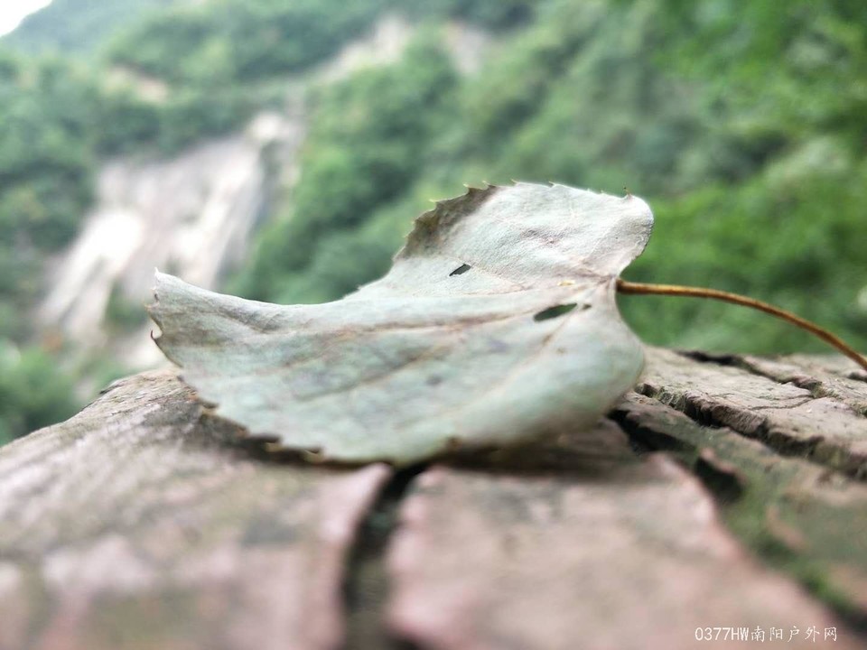 a3oeoAGjLROFKeapTQkBMEvliX-CON1X8zURzAxN6KVaIxOCOjbnBnEgzWWmJu5f